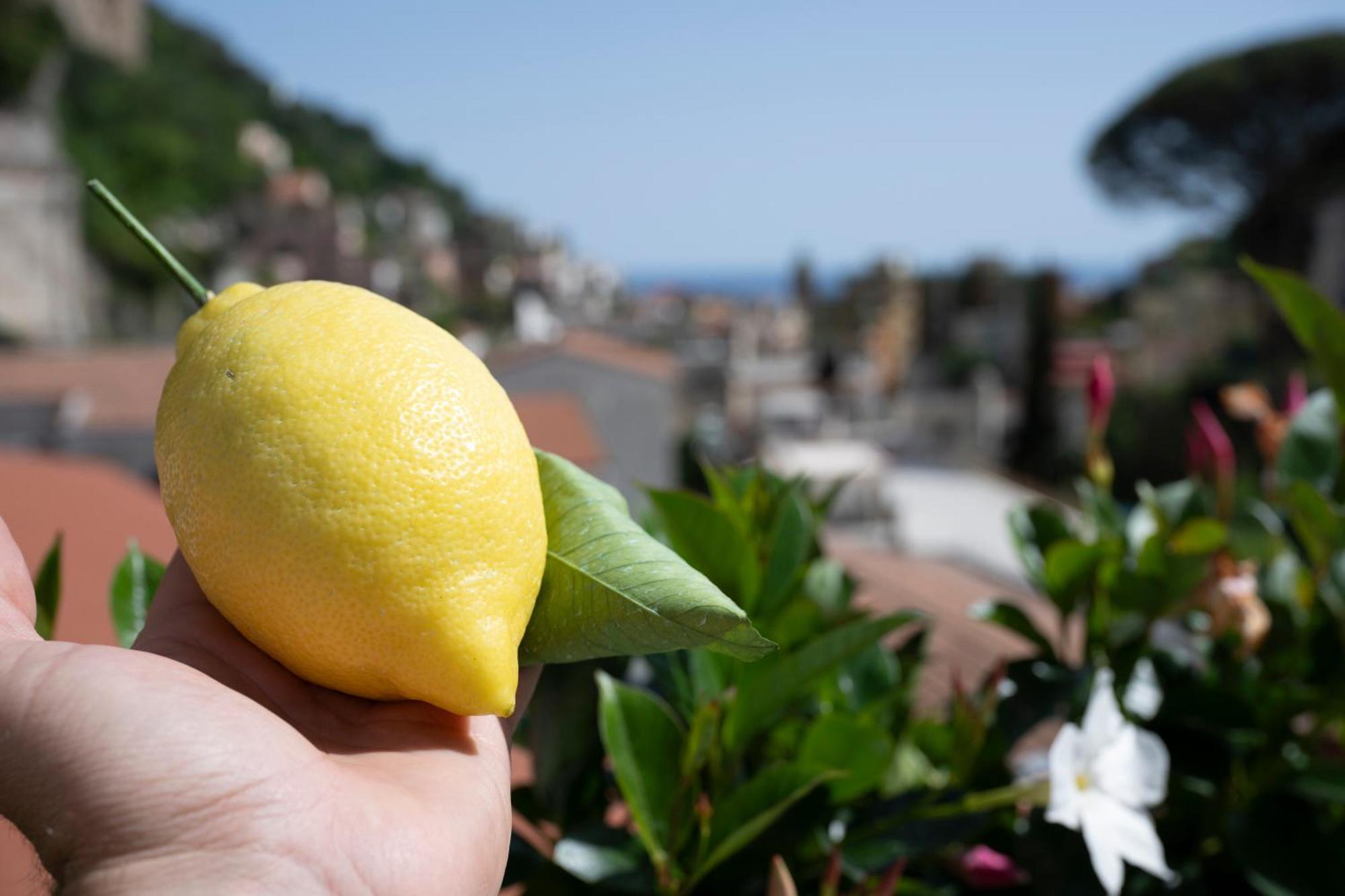 Casa de hóspedes Valle D'amalfi